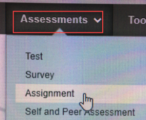 Assessment drop down menu outlined and drop down menu assignment selected