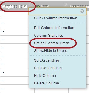 Weighted total column with set as external grade option 