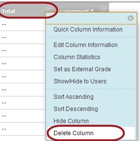 Total column with the delete option